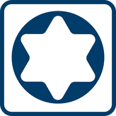 Tua vít lực màu xanh Bosch T20x100 có tay cầm tiện dụng.