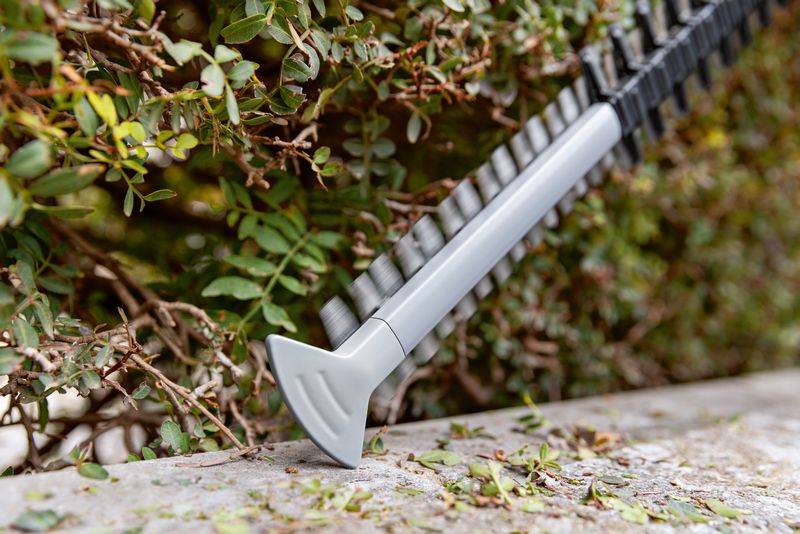 Lưỡi cắt tỉa hàng rào cắt tỉa cây bụi xanh dọc theo mép vườn.